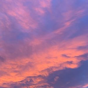 Meet your Posher, Alice